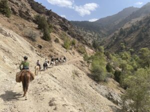 Horse riding in the Ugam-Chatkal National Park